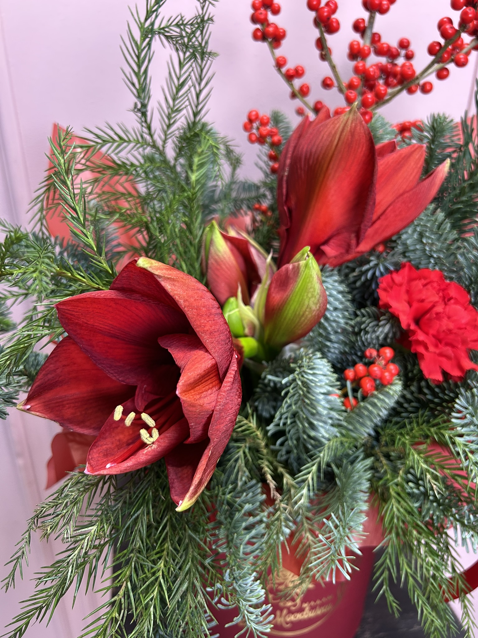 картинка Композиция с нобилисом и амариллисом  от Мадам Москвичка