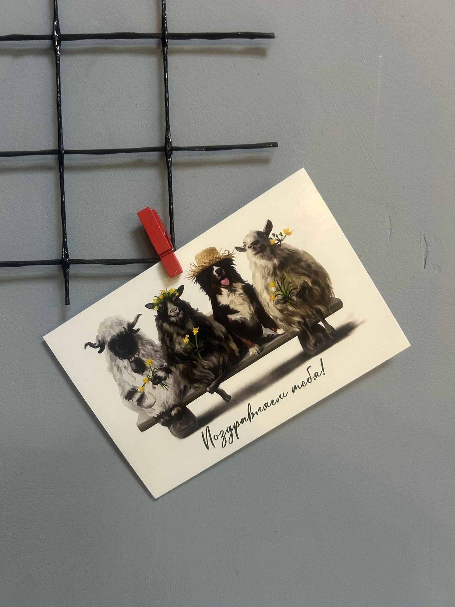 картинка Открытка «С днём рождения» 2 от Мадам Москвичка